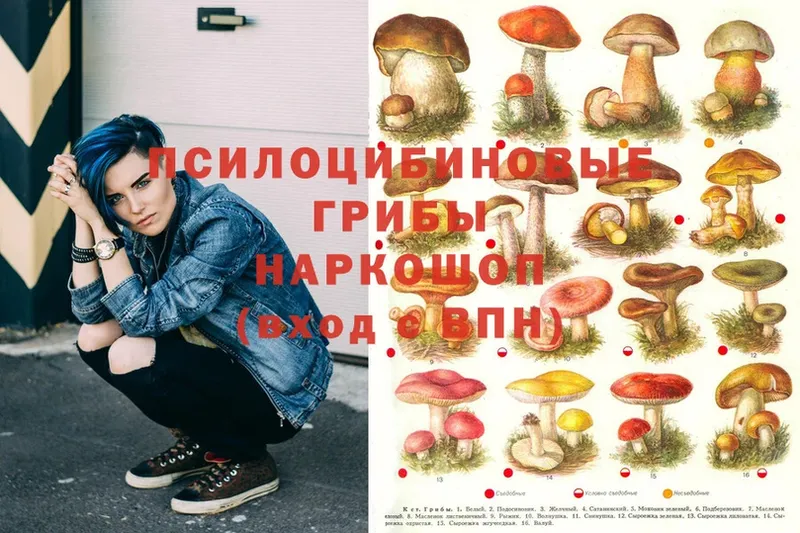 Галлюциногенные грибы MAGIC MUSHROOMS  Зуевка 